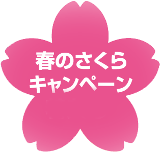 長野から 初めてさんもお得な春のさくらキャンペーン 信州善光寺門前みそ すや亀オンラインショップ 長野から 初めてさんもお得な春のさくらキャンペーン 信州善光寺門前みそ すや亀オンラインショップ